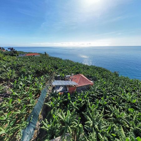 Casa Dos Anjos Villa Ponta do Sol  Eksteriør billede