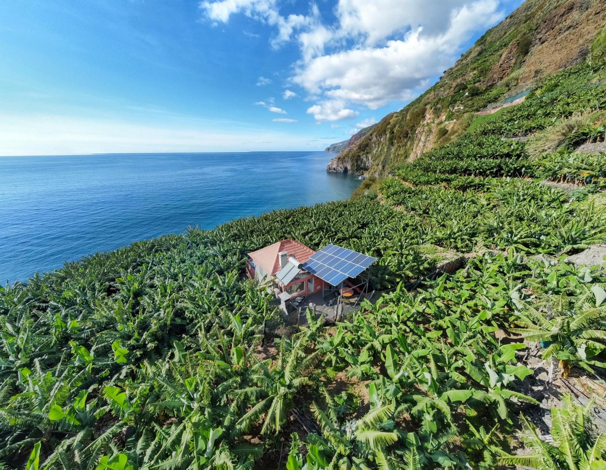 Casa Dos Anjos Villa Ponta do Sol  Eksteriør billede
