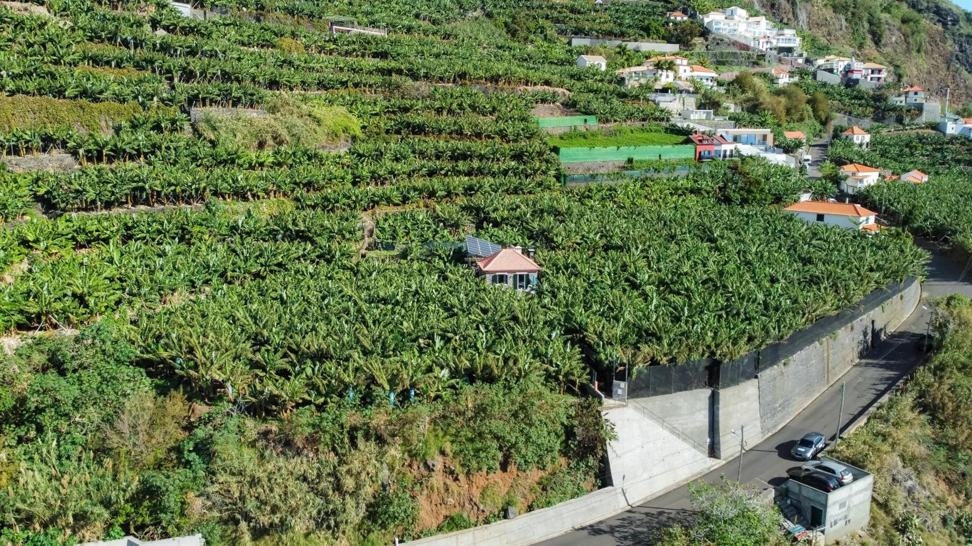 Casa Dos Anjos Villa Ponta do Sol  Eksteriør billede
