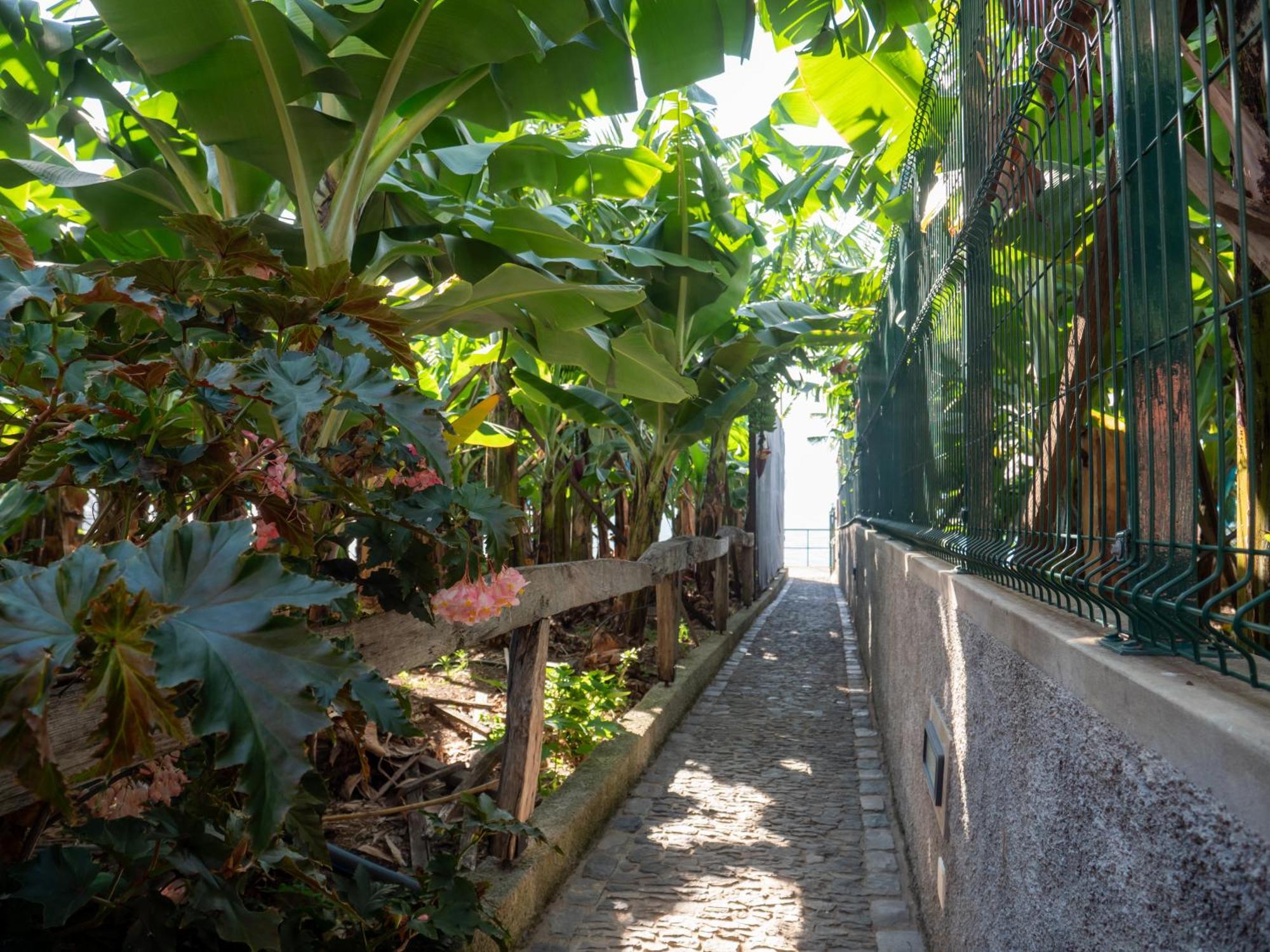 Casa Dos Anjos Villa Ponta do Sol  Eksteriør billede