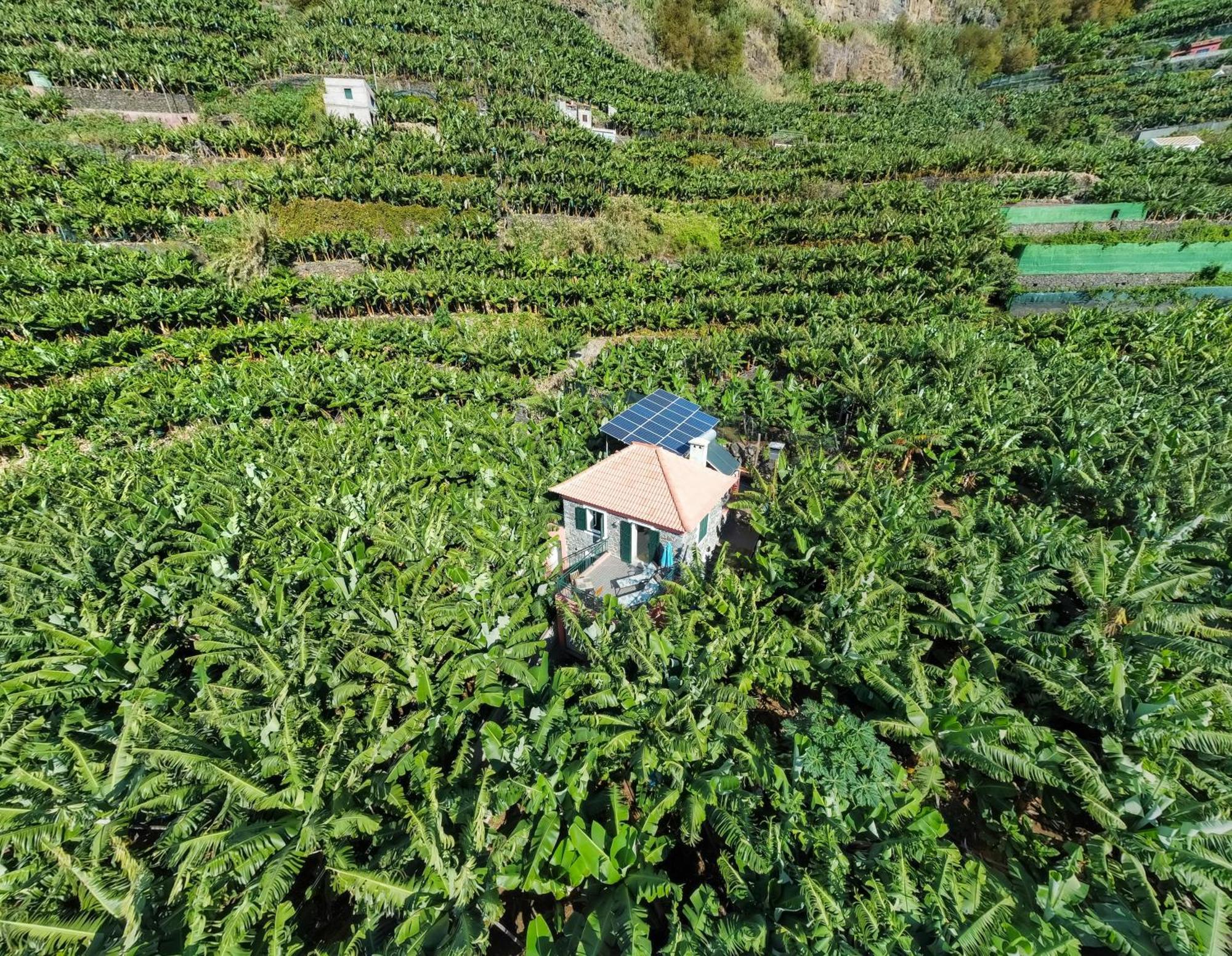 Casa Dos Anjos Villa Ponta do Sol  Eksteriør billede