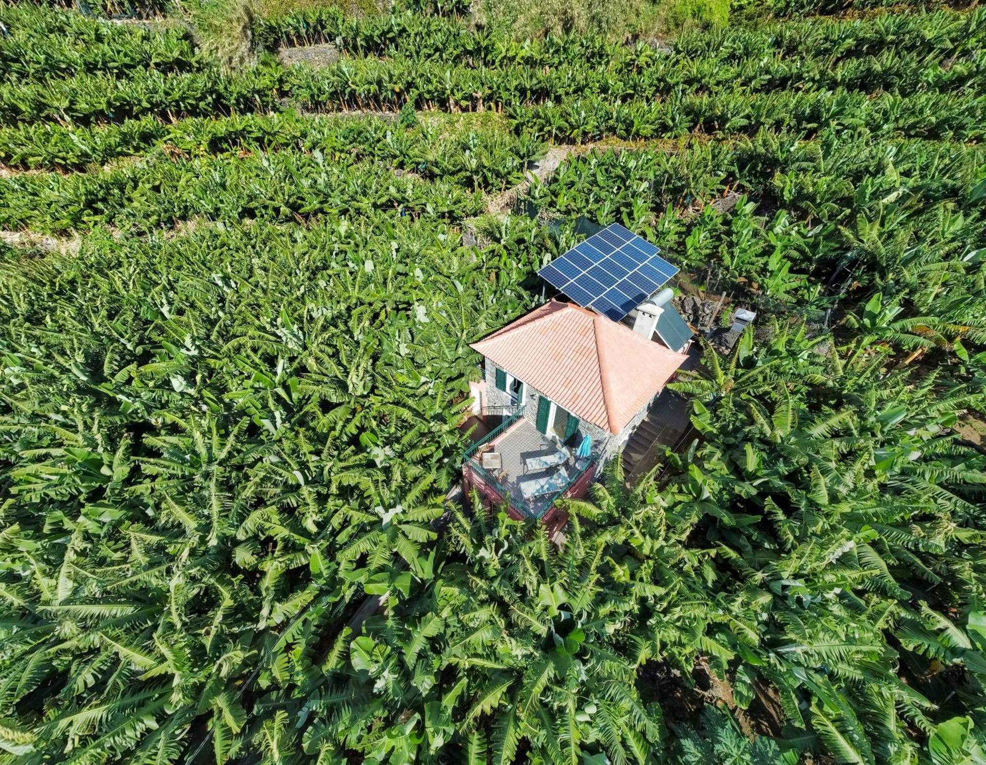 Casa Dos Anjos Villa Ponta do Sol  Eksteriør billede